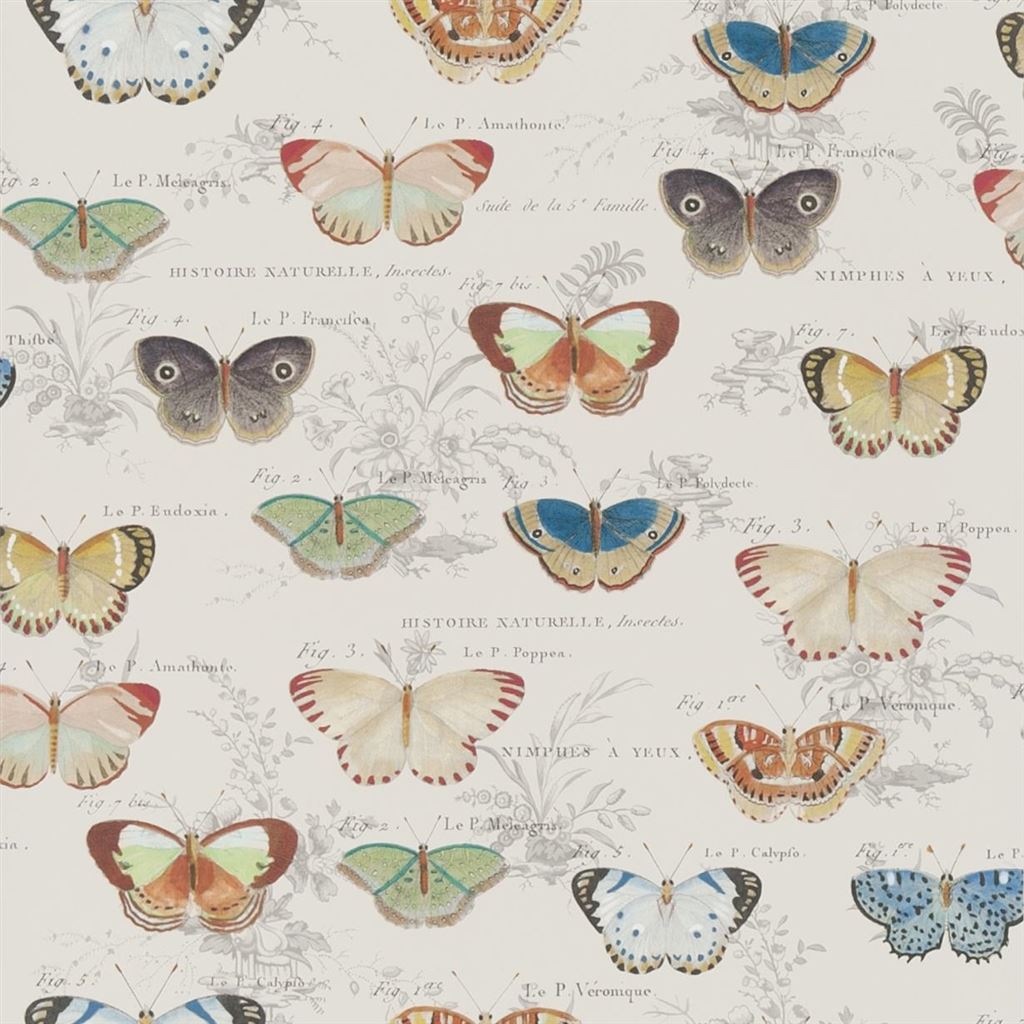 John Derian Butterfly Studies Wallpaper
