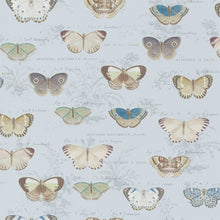 Indlæs billede til gallerivisning John Derian Butterfly Studies Wallpaper