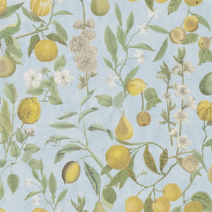 John Derian Orchard Fruits Wallpaper