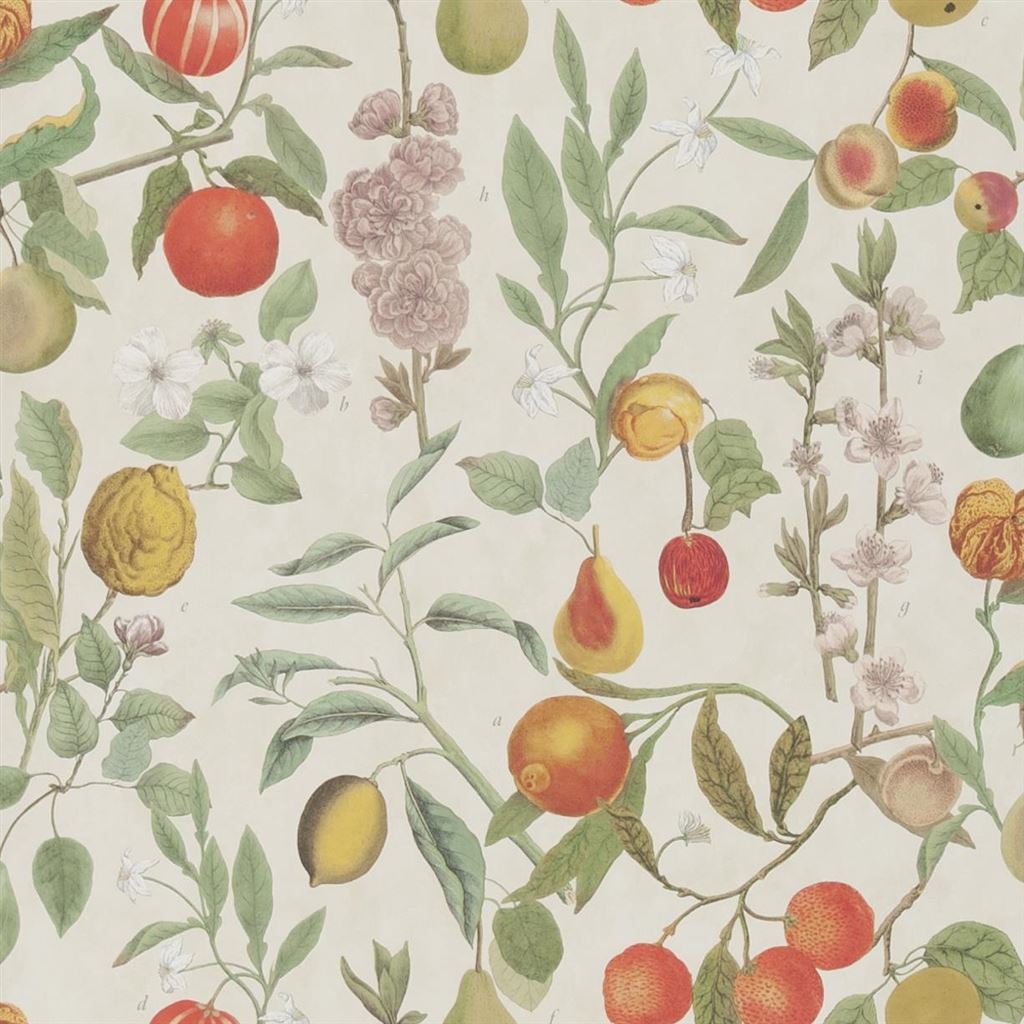 John Derian Orchard Fruits Wallpaper