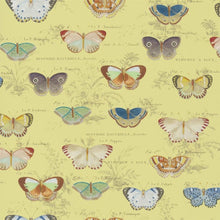 Load image into Gallery viewer, John Derian Butterfly Studies Wallpaper