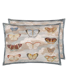 Load image into Gallery viewer, Butterfly Studies Parchment Cushion, by John Derian for Designers Guild