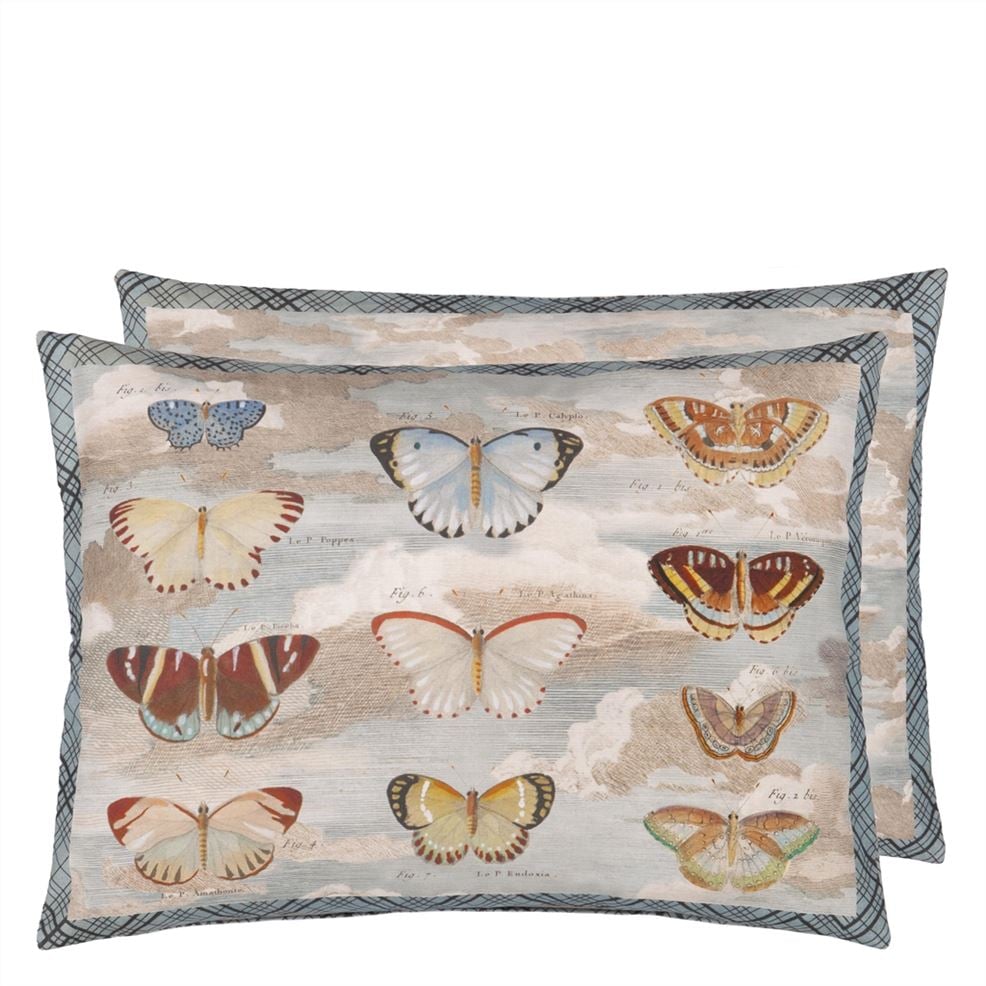 Butterfly Studies Parchment Cushion, by John Derian for Designers Guild