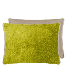 Load image into Gallery viewer, Cartouche Moss Velvet Cushion, by Designers Guild
