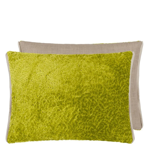Cartouche Moss Velvet Cushion, by Designers Guild
