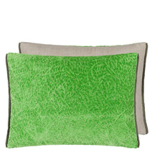 Load image into Gallery viewer, Designers Guild Cartouche Malachite Cushion