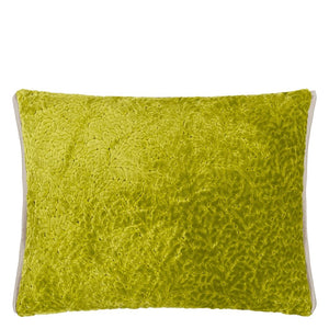 Cartouche Moss Velvet Cushion front, by Designers Guild