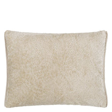 Load image into Gallery viewer, Designers Guild Cartouche Linen Cushion Front