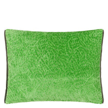Load image into Gallery viewer, Designers Guild Cartouche Malachite Cushion front