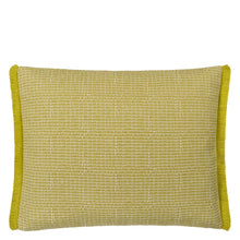 Load image into Gallery viewer, Designers Guild Pompano Acacia Outdoor Cushion Front