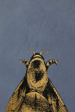 Load image into Gallery viewer, Timorous Beasties Napoleon Bee Wallpaper
