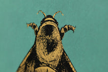 Load image into Gallery viewer, Napoleon Bee Wallpaper, by Timorous Beasties