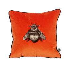 Indlæs billede til gallerivisning Timorous Beasties Napoleon Bee Orange Cushion