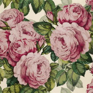 John Derian The Rose Wallpaper