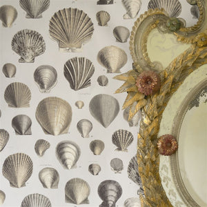 Captain Thomas Brown's Shells Wallpaper, by John Derian