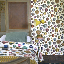Load image into Gallery viewer, John Derian Captain Thomas Brown&#39;s Shells Wallpaper