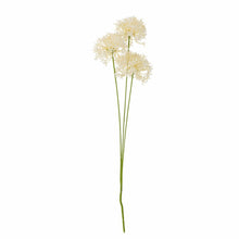 Indlæs billede til gallerivisning Allium Artificial Stem, White
