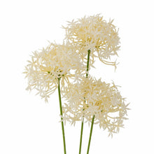 Indlæs billede til gallerivisning Allium Artificial Stem, White