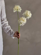 Indlæs billede til gallerivisning Allium Artificial Stem, White