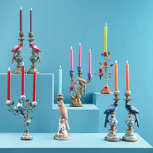 Indlæs billede til gallerivisning Blue &amp; White Parrot Candleholder