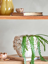 Indlæs billede til gallerivisning Coral Natural Stoneware Flowerpot with Greenery