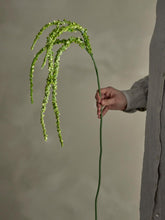 Indlæs billede til gallerivisning Foxtail_Artificial_Stem_Green Held_in_Hand