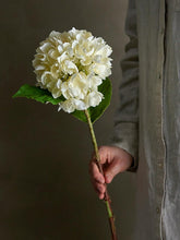 Load image into Gallery viewer, Hydrangea Artificial Stem, White