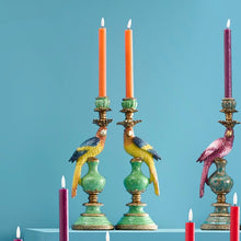 Load image into Gallery viewer, a pair of multi coloured parrot candle holders with green base
