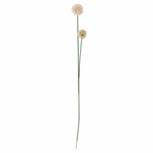 Load image into Gallery viewer, Phlox Artificial Stem, Natural