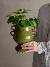 Indlæs billede til gallerivisning Raia_Green_Stoneware_Flowerpot_with_Plant