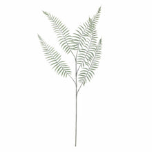 Indlæs billede til gallerivisning Sago_Fern Artificial_Stem_Green