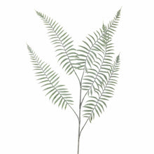 Indlæs billede til gallerivisning Sago_Fern Artificial_Stem_Green_Close_Up