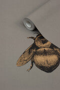 Napoleon Bee Wallpaper, Black and Gold on Grey by Timorous Beasties