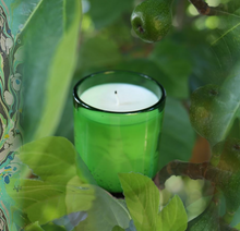 Indlæs billede til gallerivisning Green Fig 220g Candle, by Designers Guild