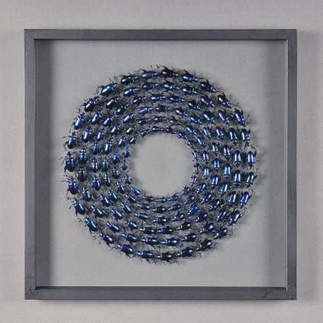 Framed Beetles, blue/green